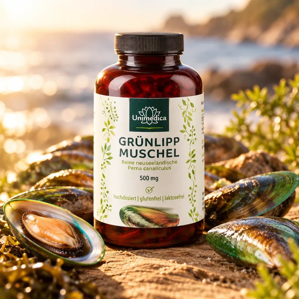 Grünlippmuschel - 1.500 mg pro Tagesdosis (3 Kapseln) - hochdosiert - 300 Kapseln - Nahrungsergänzung Unimedica - Kornkammer Natur