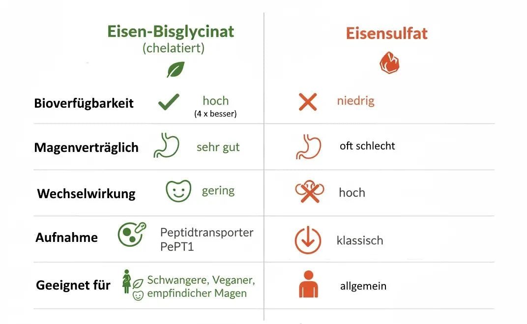 Eisen-Bisglycinat vs. Eisensulfat: Was ist der Unterschied und welches ist besser? - Kornkammer Natur