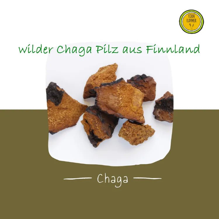 Chaga Pilz (Finnland) - Vitalpilz - Natufin Kornkammer Natur