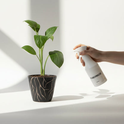 Pflanzenwasser zur Pflanzenpflege - Pflanzen - Humanum - Kornkammer  - Natur - Anwendung