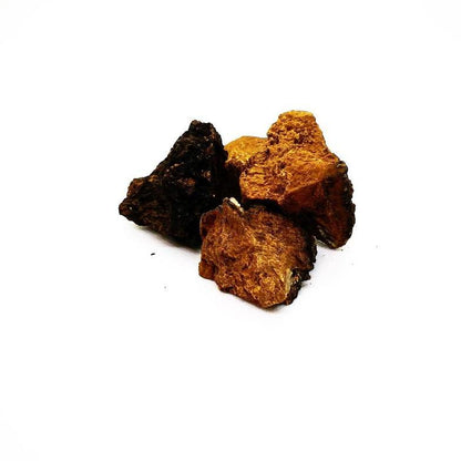 Chaga Pilz - Natufin Kornkammer Natur wild - Brocken